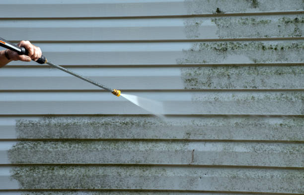 Best Pressure Washing Services Near Me  in Morton Grove, IL