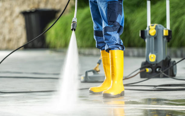 Best Pressure Washing Driveway  in Morton Grove, IL